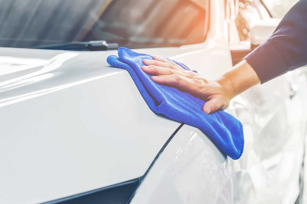 Removing Bug Stains From Car Paint and Other Great Tips