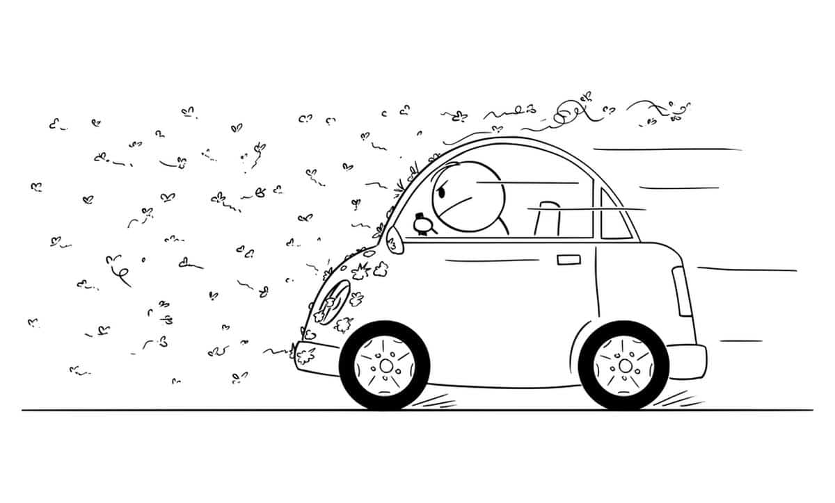 Often wash dead insects from car