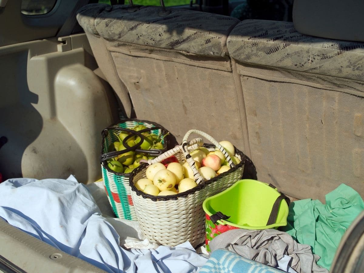 organizing and cleaning car trunk