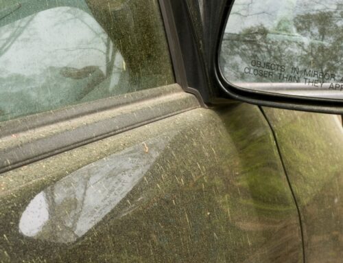 Pollen Season and The Damaging Effects to Your Car