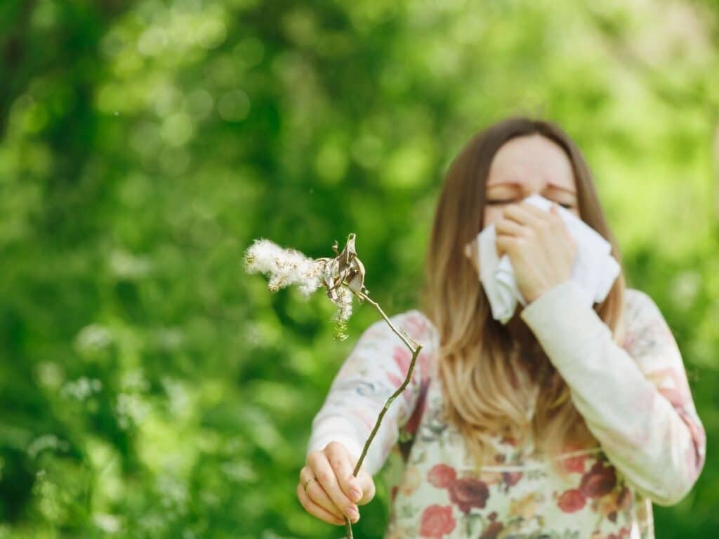 pollen season allergies