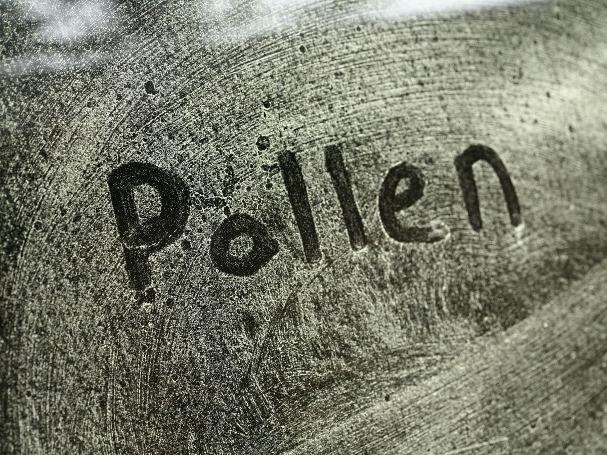 Protect Car from Pollen Season