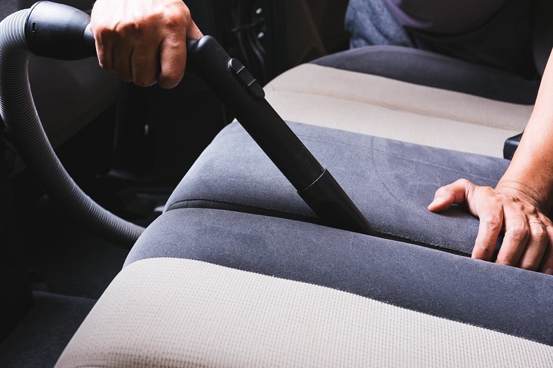 How To Remove Mold From Your Car Interior Splash and Go